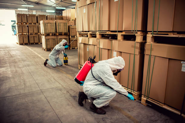 Best Bed Bug Extermination  in Fairview Park, OH