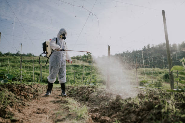Best Mosquito Control Services  in Fairview Park, OH