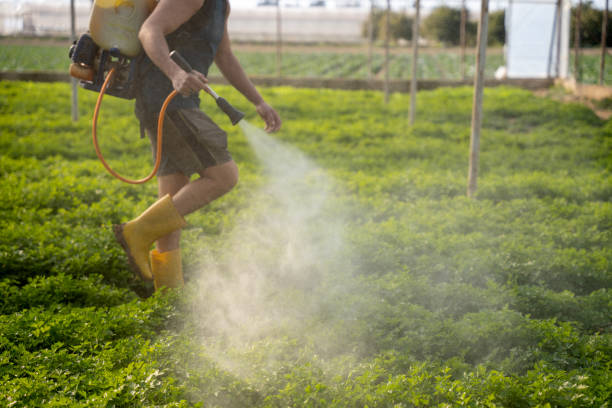 Best Commercial Pest Control Services  in Fairview Park, OH