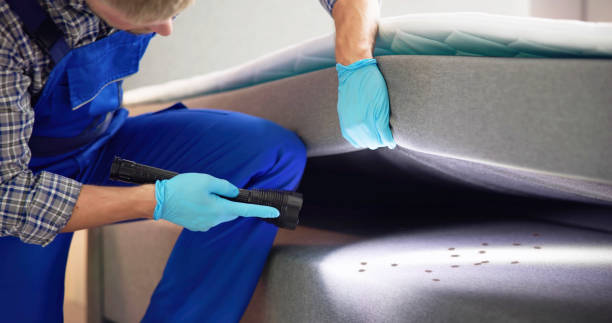 Best Pest Control for Businesses  in Fairview Park, OH