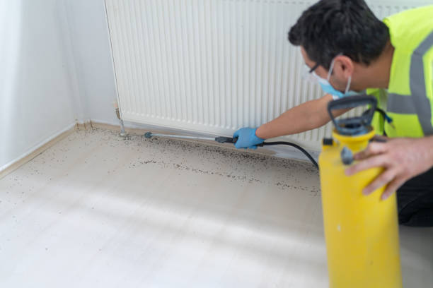 Best Pest Inspection Near Me  in Fairview Park, OH